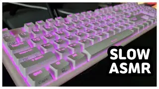 【SLOW ASMR】 HANSUNG CHF4X⌨️ | NIZ EC (Noppoo) | Keyboard Typing ASMR | No ADs No Talking😴