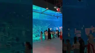 The City Gallery at Old Doha Port #kids #qatar #aquarium
