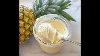 Ninja Creami Protein Dole Whip