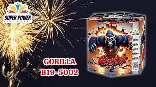 NOWOŚĆ 2025! B19-5002 GORILLA