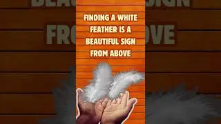 White Feather Spiritual Meaning