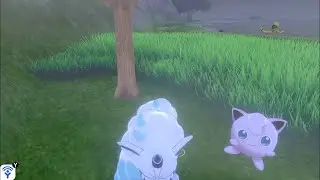 【ポケモン剣盾】初見/初心者/未プレイ大歓迎　自由参加型/ネタバレ無『巣穴レイド/ダイアド/キャンプ/色違い＆個体値厳選/通信』（スマホ直撮り配信） #ポケットモンスター #ポケモンソードシールド