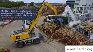 Dogwood Alliance - Investigating The Destruction of Precious Forests