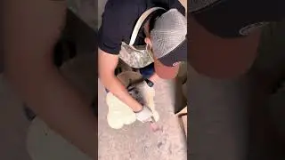 How to creat a bear busy board | Kindlytoys