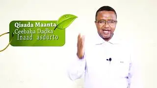 Qisooyinka Nolosha xalqadii 8aad waad awoodaa waxkasta inaad qabato Mubaarik Ibraahim Aar 2018