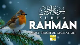 Surah Ar Rahman (سورة الرحمن) | Most Beautiful & Relaxing Quran Recitation | Noor Pulse Tv