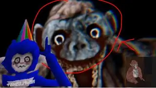 Playing fever dream vr