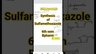 🎬 Synthesis of Sulfamethoxazole in 30 Seconds! 💊✨#MedicinalChemistry #PharmaShorts #viral #revision