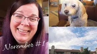 Calm walks & puppy cuddles | November Vlog #1 | 2020