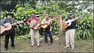 12 de enero de 2026