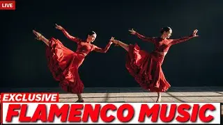 Live Flamenco Chill Guitar Stream