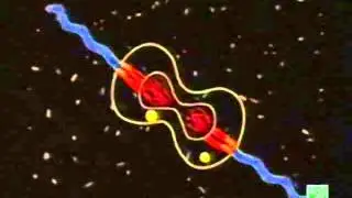 Origen de las mitocondrias y de la vida multicelular