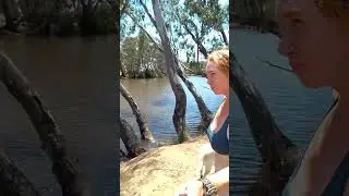 A walk around Aysons reserve Victoria Australia 🇦🇺🙃