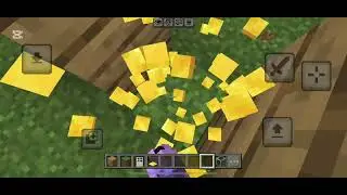 tutorial on how to build a trap :)