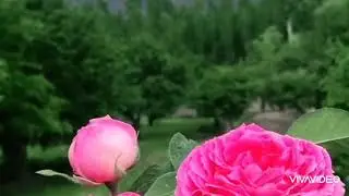 Beautiful view of Gilgit, Baltistan skardu