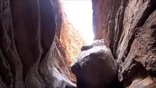 Light in Blacktail