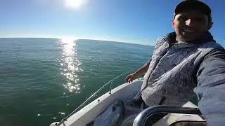 Monster Leerfish 25kg