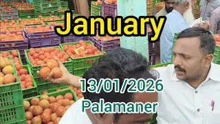 Live tomato action today plamaner vegetable market price today #palamaner #tomato #madanapalli 