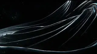 Velum Tenebrarum | Sacred Ambient • Ritual Electronica • Enigma-Inspired Dark Shadows | Arkanæa