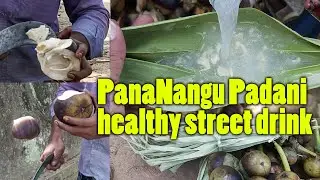 Ethnic healthy drink PANANANGU PADANI I An Indian hygienic healthy Street Drink Try the sweet drink