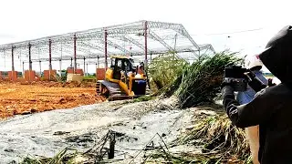Full Complete Our Project, Operator SHANTUI Dozer Pushing Soil & Rock With Heavy Dump Truck 25 5T
