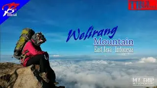 WELIRANG - My Adventure ( East Java - Indonesia )