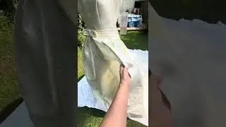 Rosa Clara 2 Part Wedding Dress