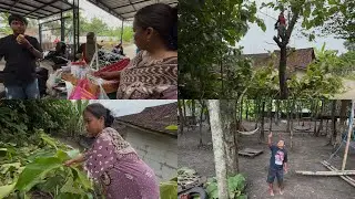 POHON JATI DIMAS ZAENAL ARIFIN DITEBANG-di dol entok pirang puluh juta iki nggerr??😱😧🤑