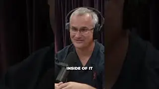 Commander David Fravor On Propulsion! #motivational #viral #motivation #andrewtate #viral #shorts
