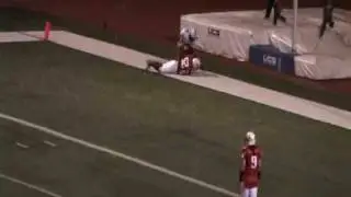 NCFL: Cobras vs Barnstormers