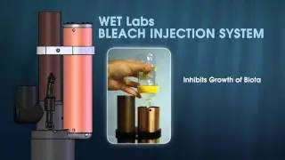 WET Labs WQM in Corpus Christi Bay