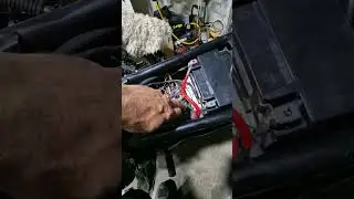 Proszę o pomoc! Do elektryka samochodowego