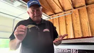CP Crankbaits / Falcon BuCoo SR