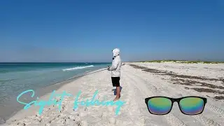 Sight Fishing Beach Fish