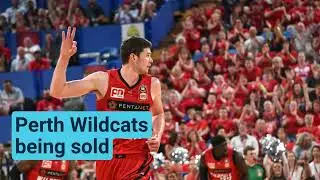 ASX VIDEO 11 July: ANZ, SEG & FWD