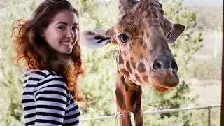 ОТЕЛЬ-САФАРИ Jamala Wildlife Lodge В АВСТРАЛИИ
