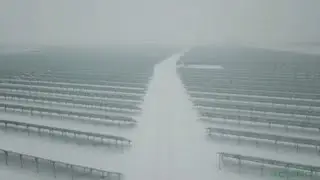 Central Asia's largest solar power plant opens in Kazakhstan