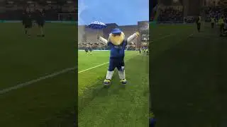 womble singing in the rain #afcwimbledon #music #rain