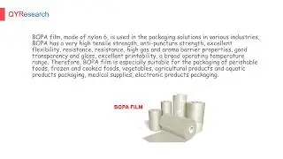 QYR: Global Biaxially Oriented Polyamide (Nylon) Film (BOPA) market