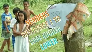 NUMBERS CHALLENGE 1 TO 1000 LOWER HIGHER