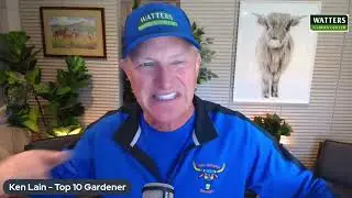 🌱Fastest Growing Plants for a Thick Hedge of Privacy