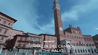 The Palio of Siena, the day by day guide #PalioLive