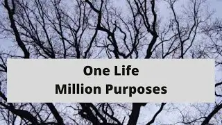 One Life With Millions Of Purposes - [AUDIO VERSION]