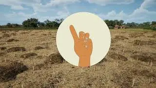 Conservation agriculture for hoe farmers: Keeping crop residues in the field
