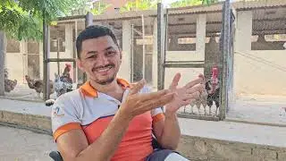 VALE A PENA CRIAR GALINHA EM 2025 AINDA?