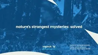 Nature's Strangest Mysteries: Solved | Promo | Starts March 16