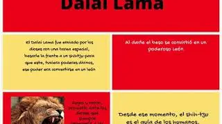 El mito de shifu
