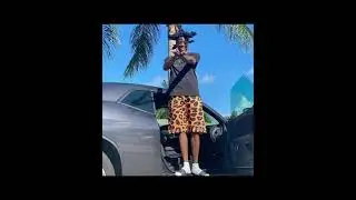 [FREE] Trapland Pat x Ski Mask Type Beat 