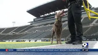 Thor the bomb-detecting dog works with UOPD to keep university events safe