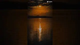 Islamic Nasheed🫶IslamicNasheed #NasheedLovers #HalalVibes #IslamicContent #DeenOverDunya#shorts#fyp